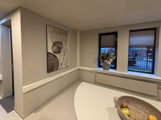 Moderne woonkamer met kunstwerk aan de muur, vensters en een fruitschaal op tafel.