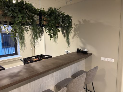 Minimalistische bar met plantenplanken en moderne stoelen. Licht en neutrale kleuren.