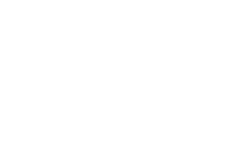 9005 schilders
